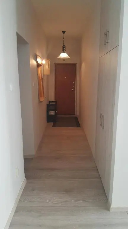 Apartment on Kudirkos 20