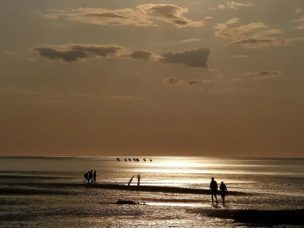 Comfort Steps from the North Sea