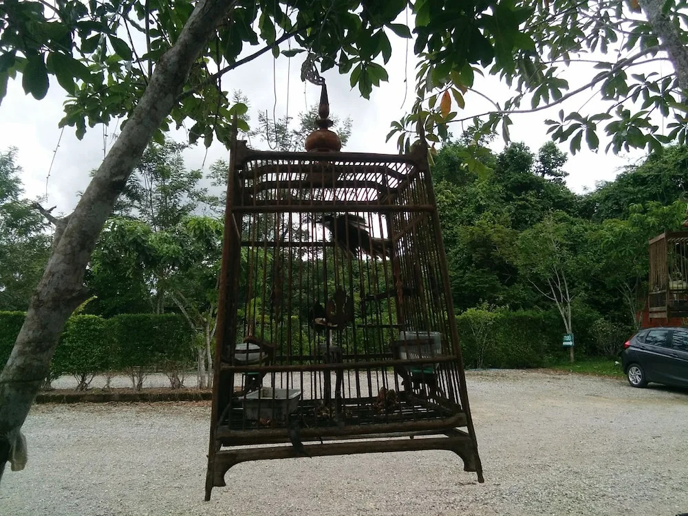 Rommai Plai Tawan Trang