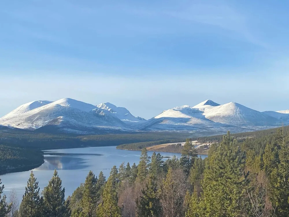 Live in the Realm of the Musk Oxen on Dovrefjell