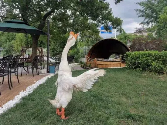 Yixiyixia Homestay