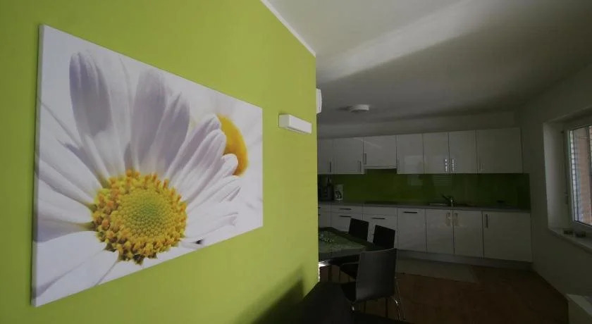 Apartments & Wellness Skok
