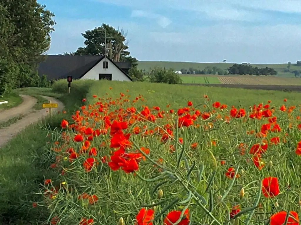 Wingårdhs B&B Österlen
