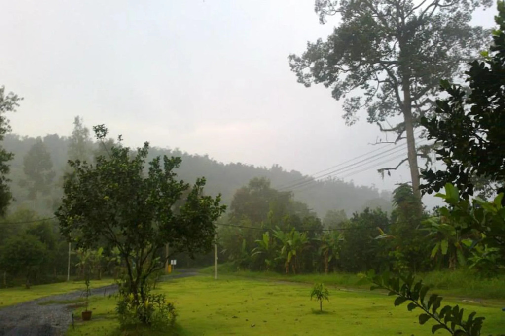 Baan Pennee