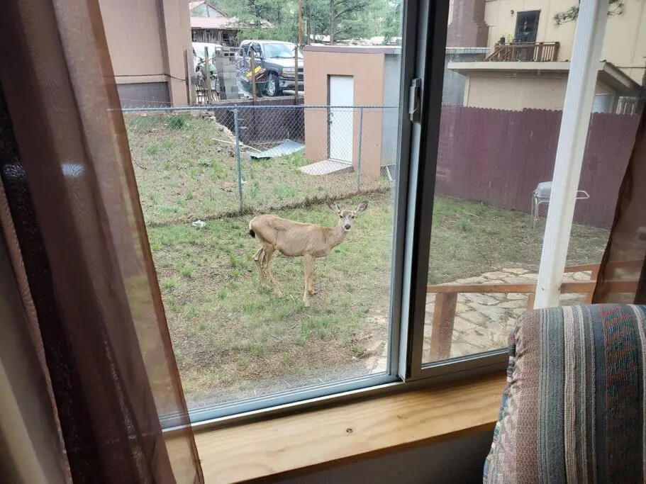 Cozy 3 Bedroom with Fireplace in Beautiful Ruidoso
