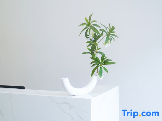 Jingdezhen Jiuge Homestay (Taoxichuan Creative Street)