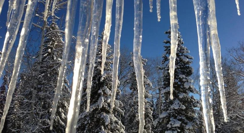Tall Timbers Resort