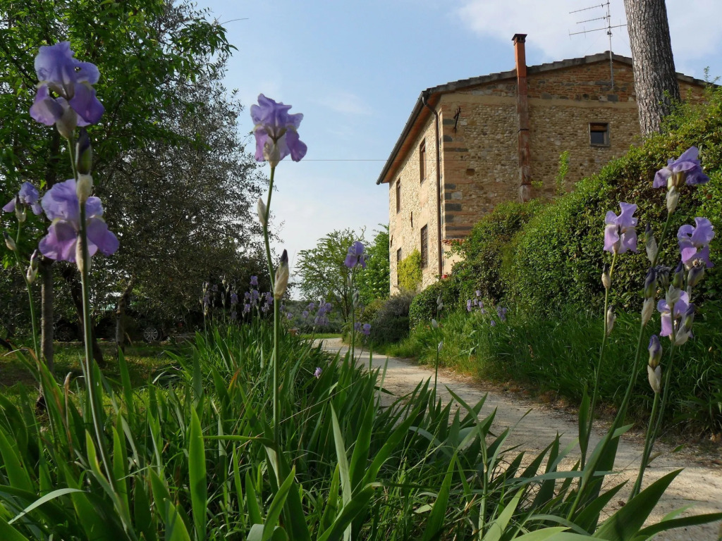 B&B Il Giglio Etrusco