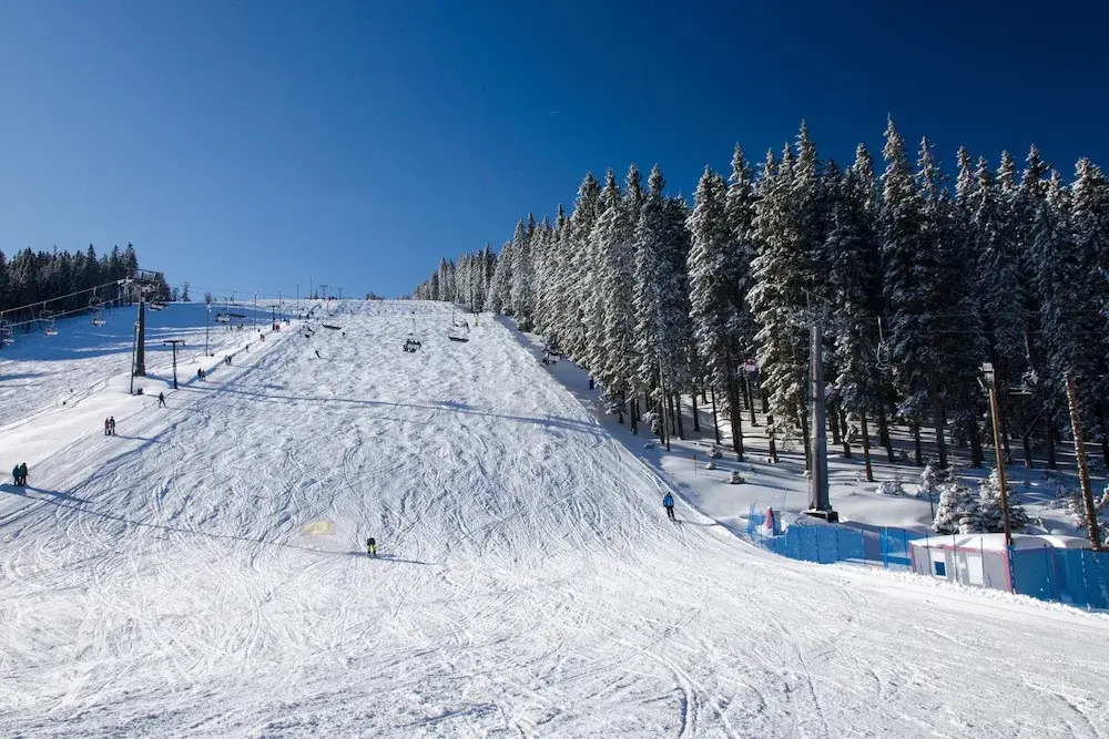 Ski Apartment Frigo Pohorje 2