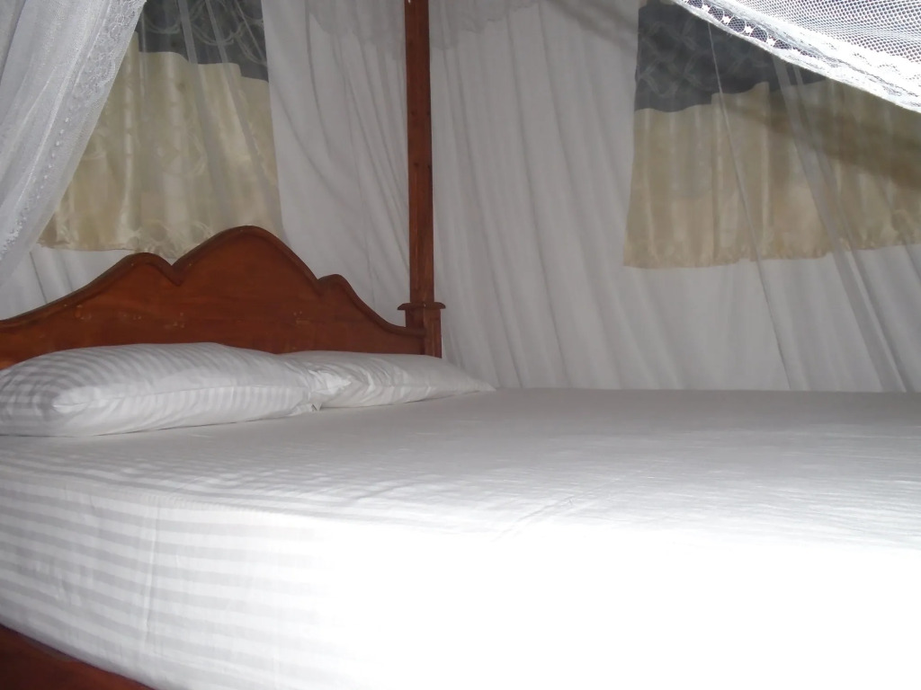 Ceylon Hostel Galle - Hostel