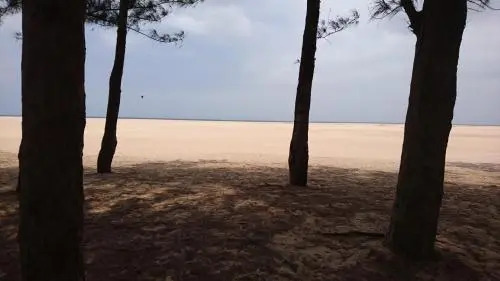 Beach House 22