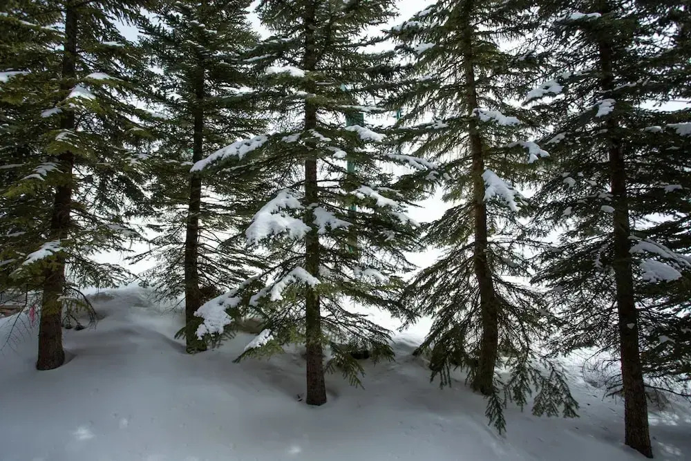 Sterling Lodge at Deer Valley Resort - Three Bedroom Condo with Hot Tub #108 3 Condo