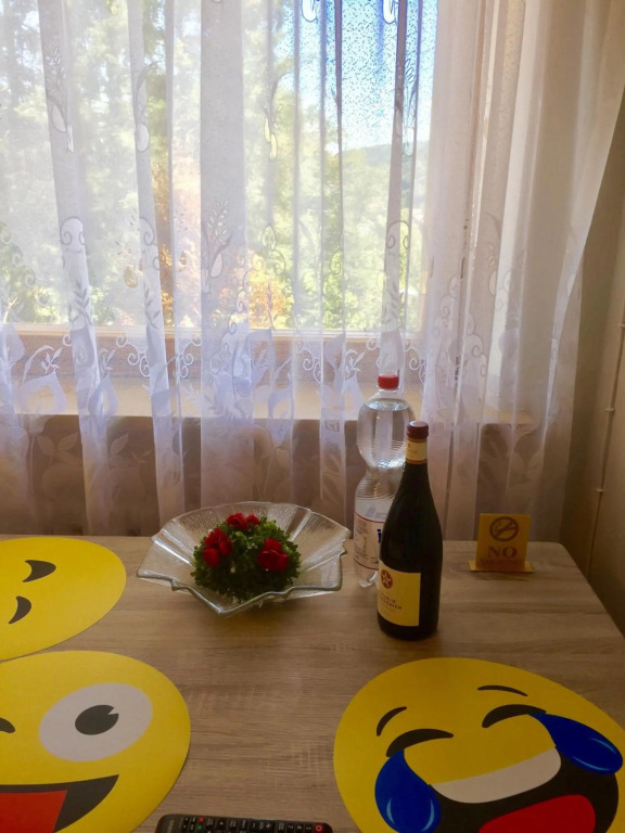 Mainzimmer Business Appartment - Monteurwohnung mit Burgblick