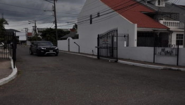 New Kingston Guest Apartment VII