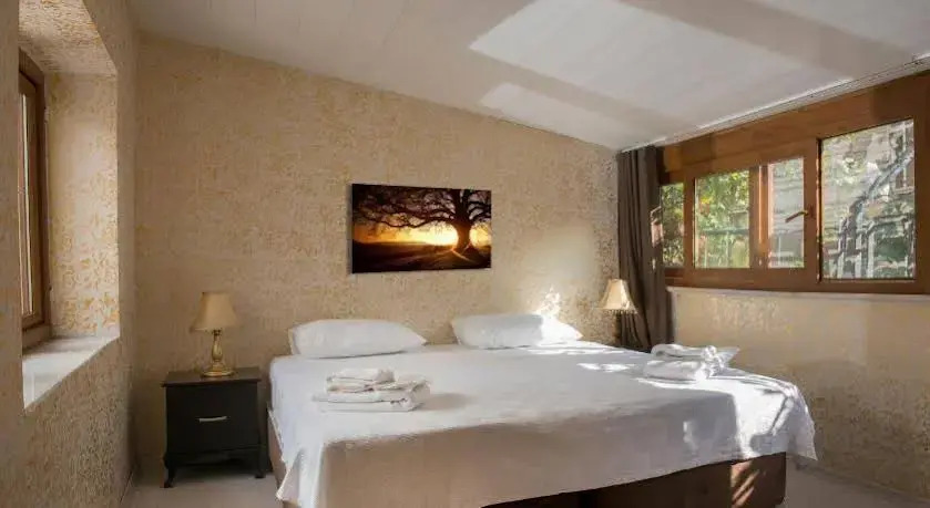 Splendor Suite