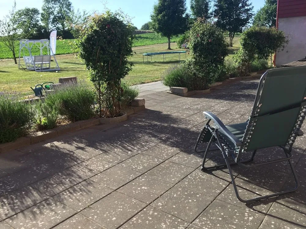 Borrby Frö B&B