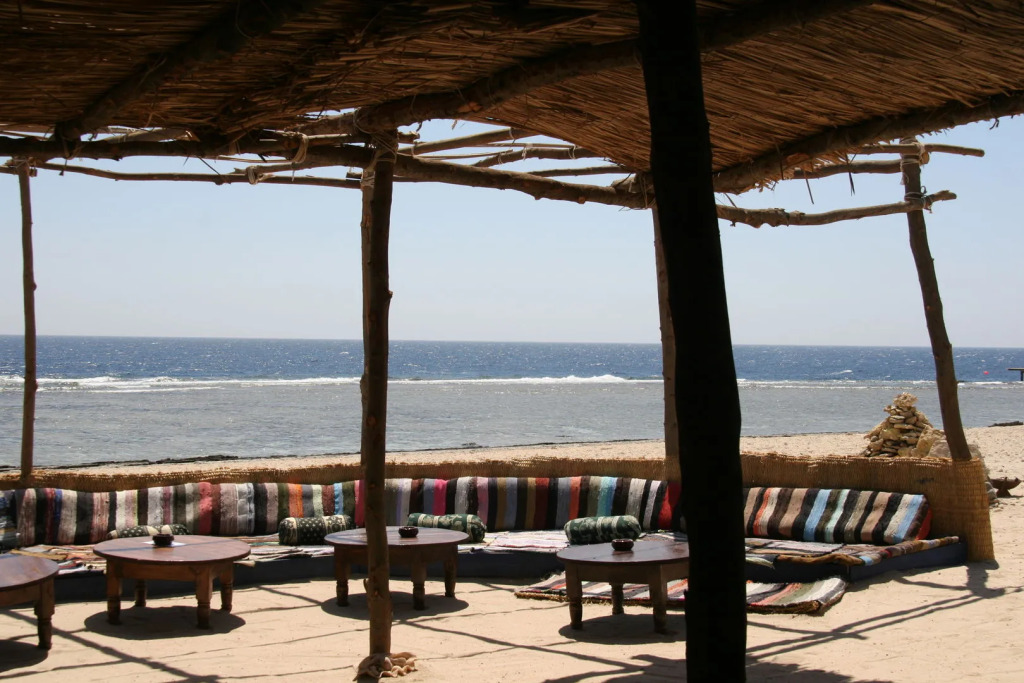 The Oasis