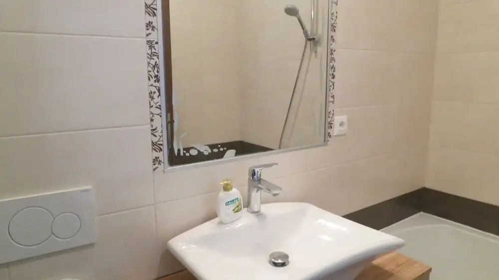 Apartments Davor