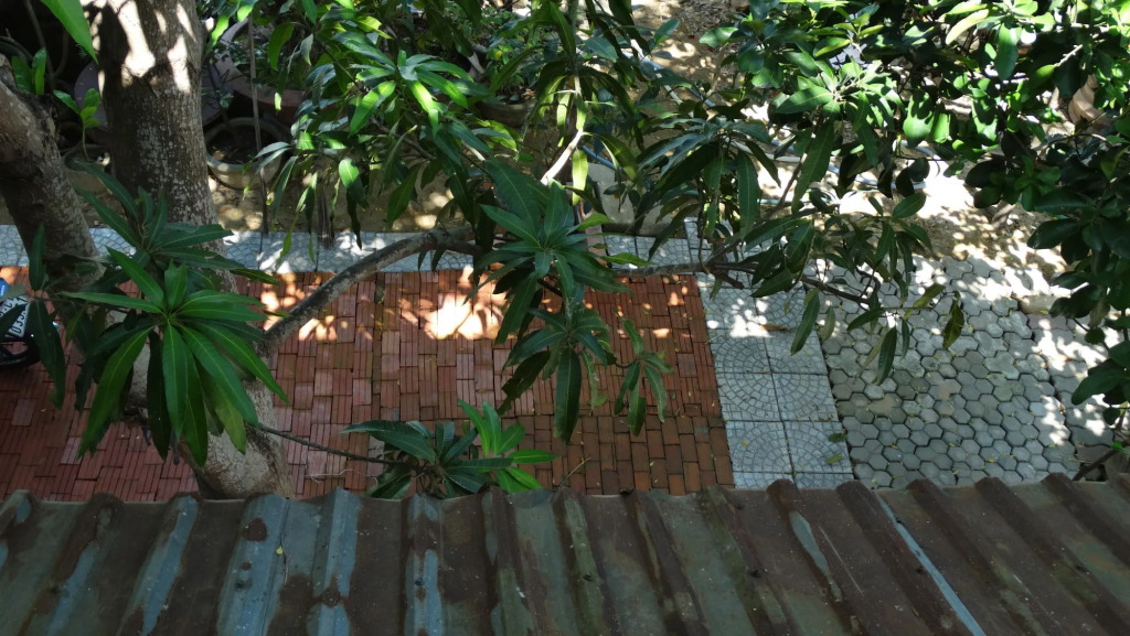 Yellow House Homestay