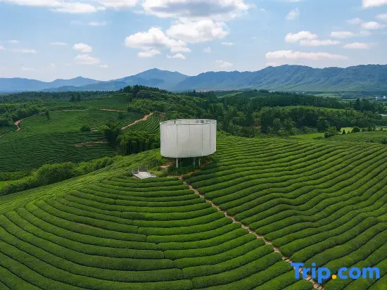 Jingdezhen·Qinghuan Yushè | CINECAY SunsetSeclusionDesigner Guesthouse (TaoxichuanCreativePlaza)
