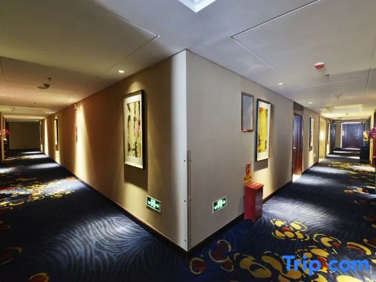 Soluxe Hotel