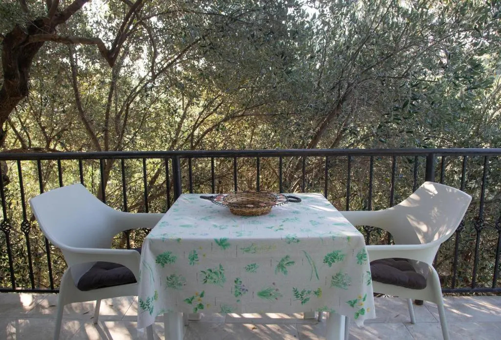 Apartments Oliva