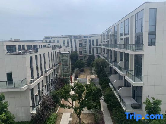 You Meishu (Tongxiang Wuzhen Branch)
