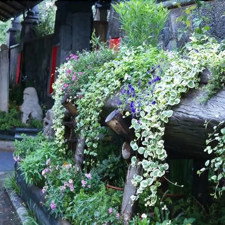 Dali Yishan Boutique Hotel