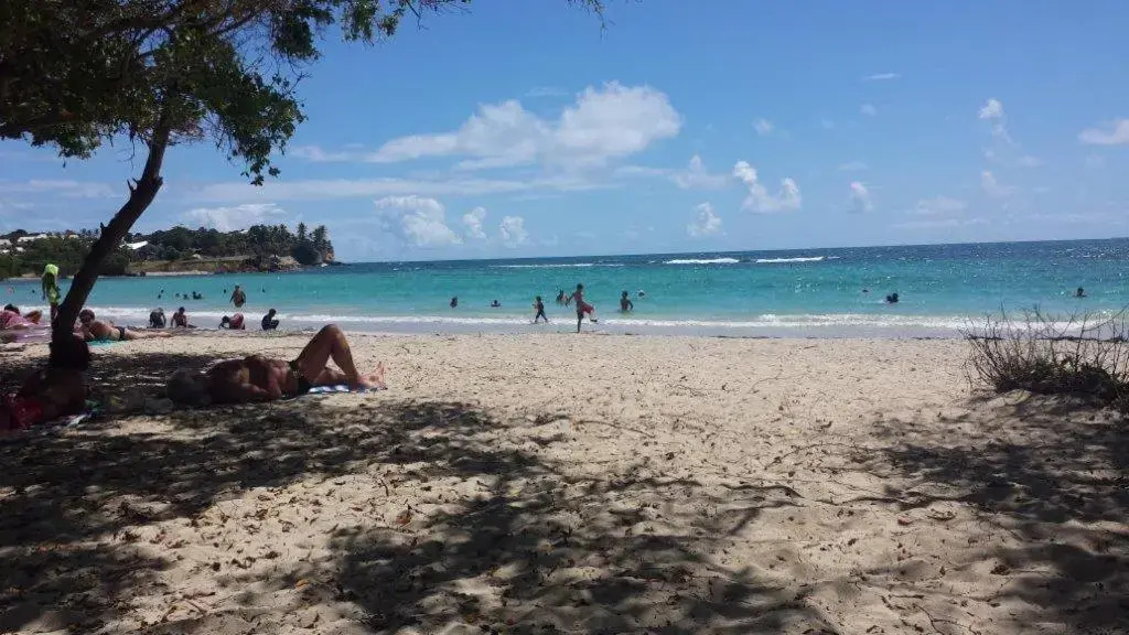 Duplex Palm Beach - Plage et Rando