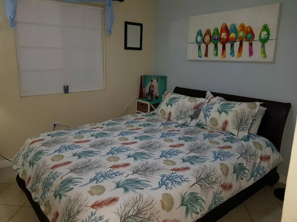 Aruba Custom Villa