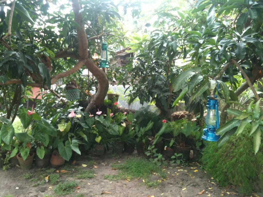Francis Homestay