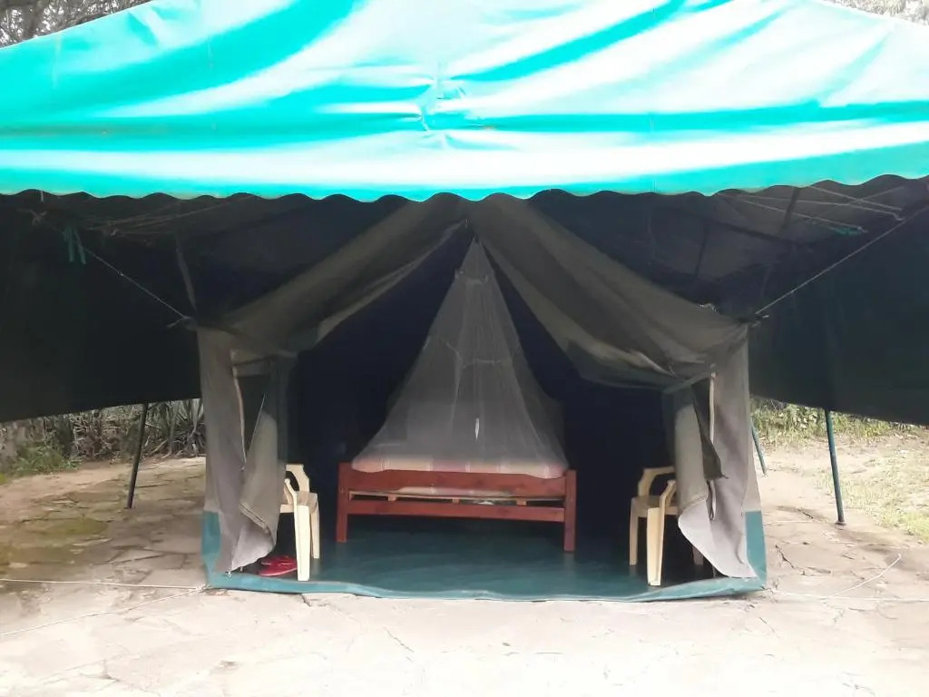 Cactus Eco Camp and Lodge