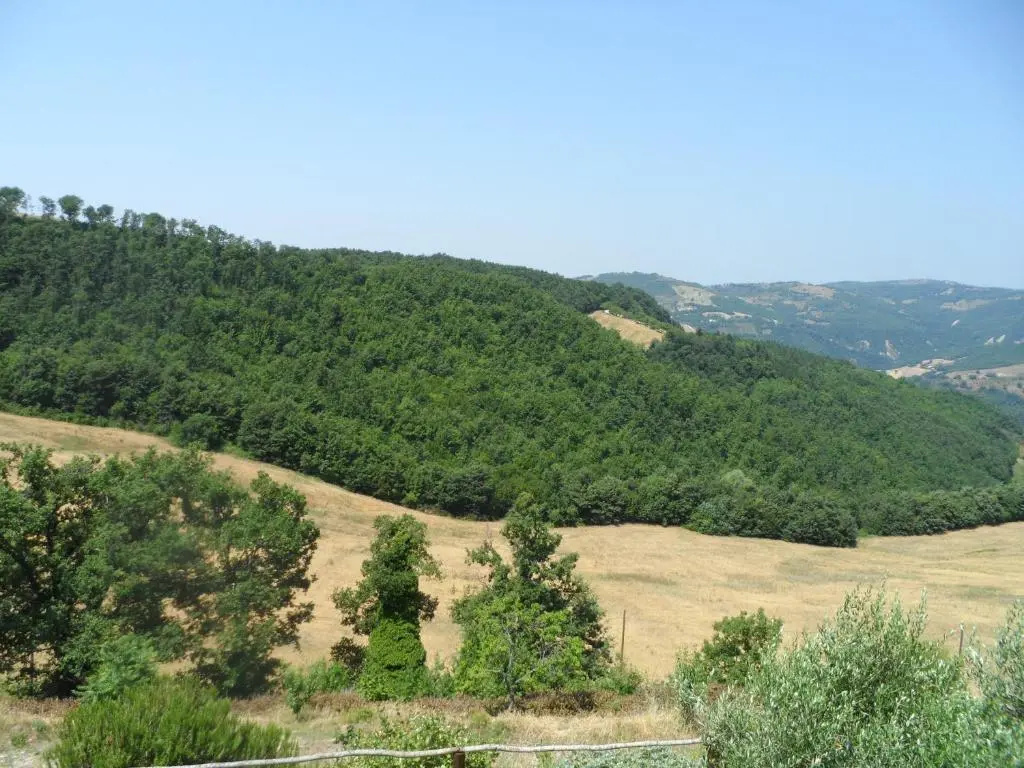 Agriturismo La Terrazza