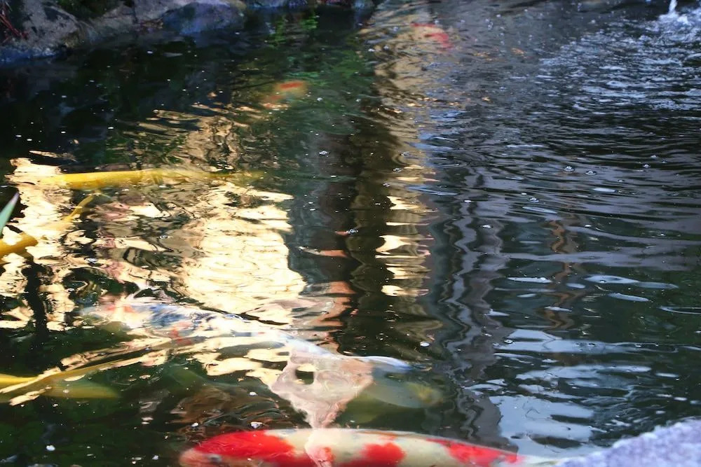 Kaikisou