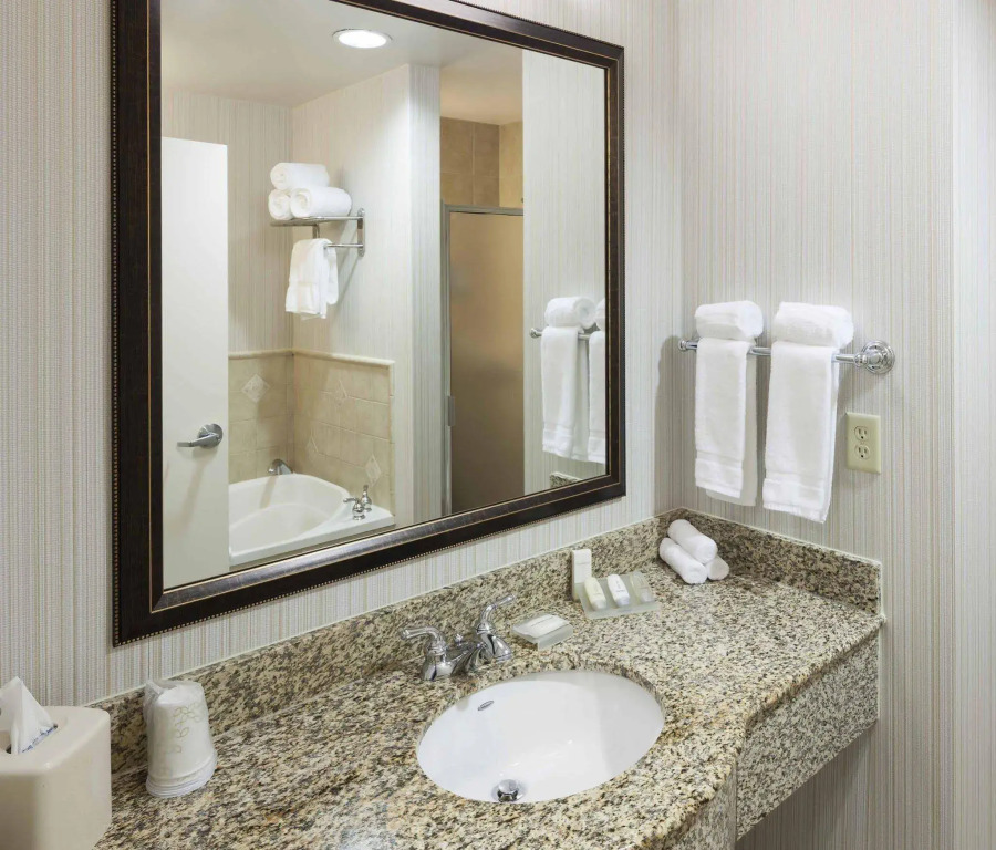 Hilton Garden Inn Dallas Lewisville