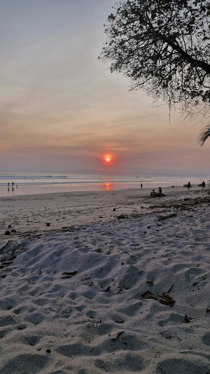 Habitat Surf Glamp