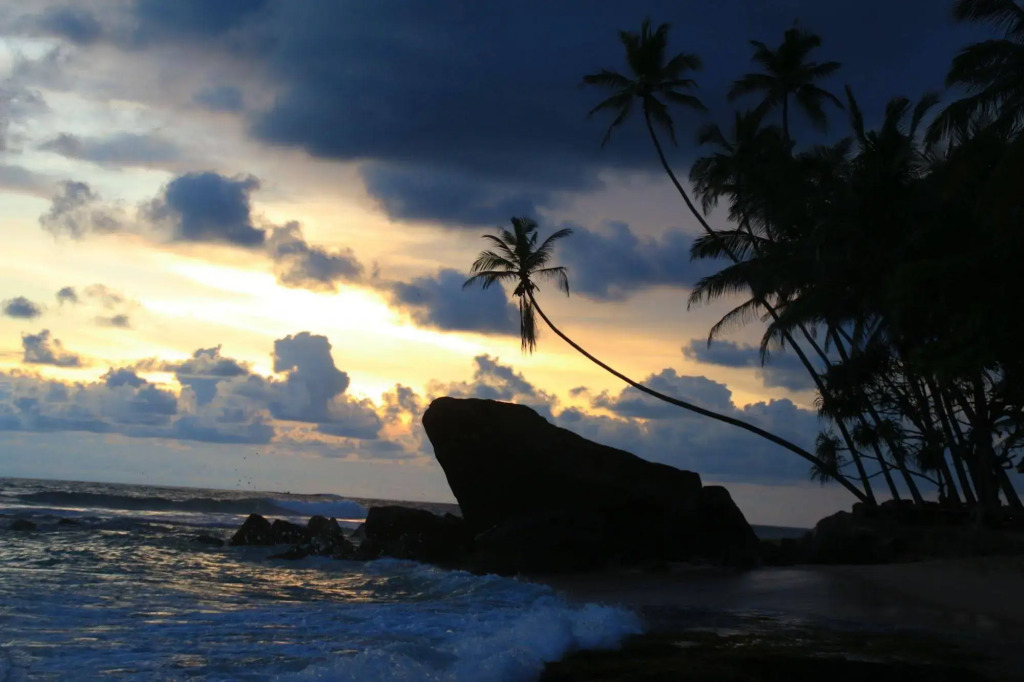 Sayura Beach Hotel