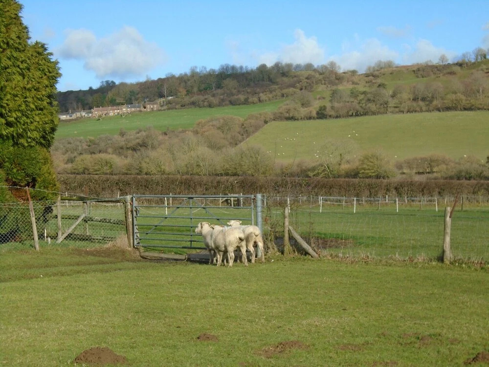 Greenham Cottage