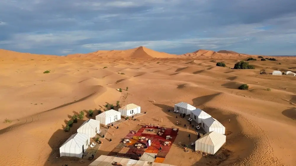 Camp Sakura Desert Dream