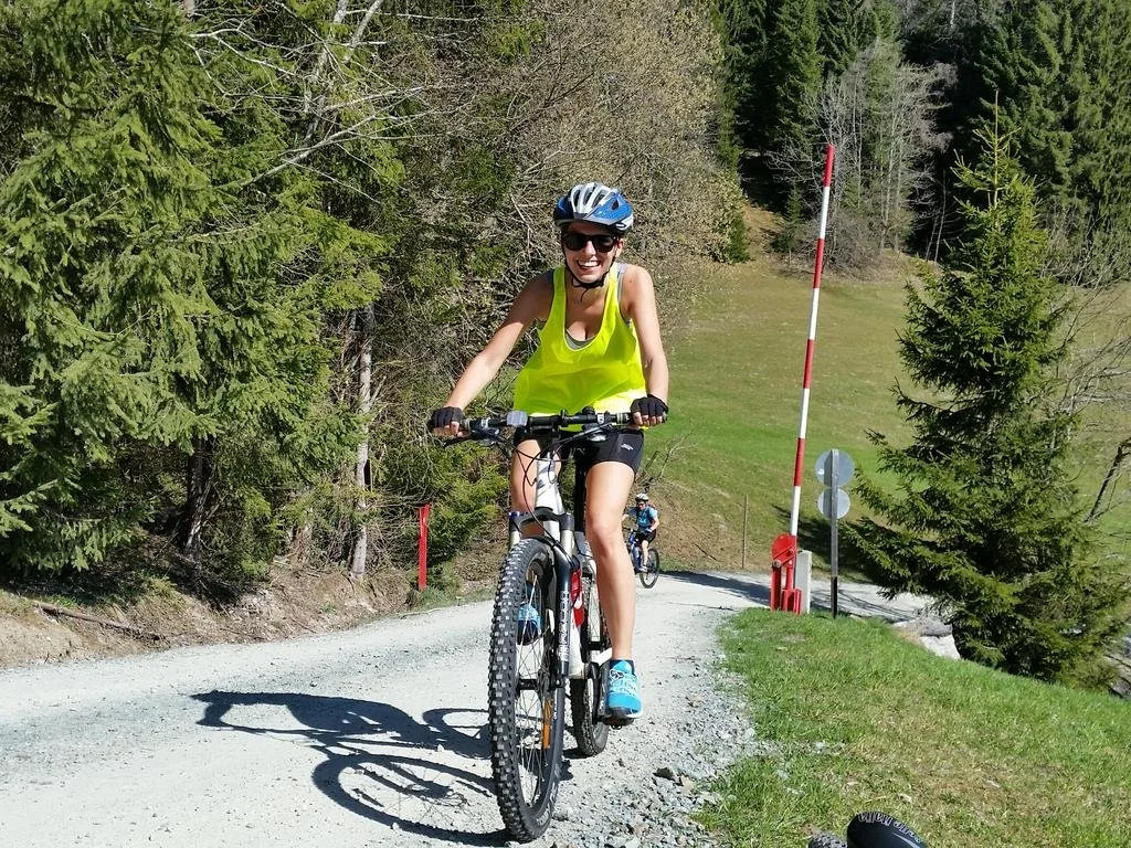 Haus Dachstein Schnitzer