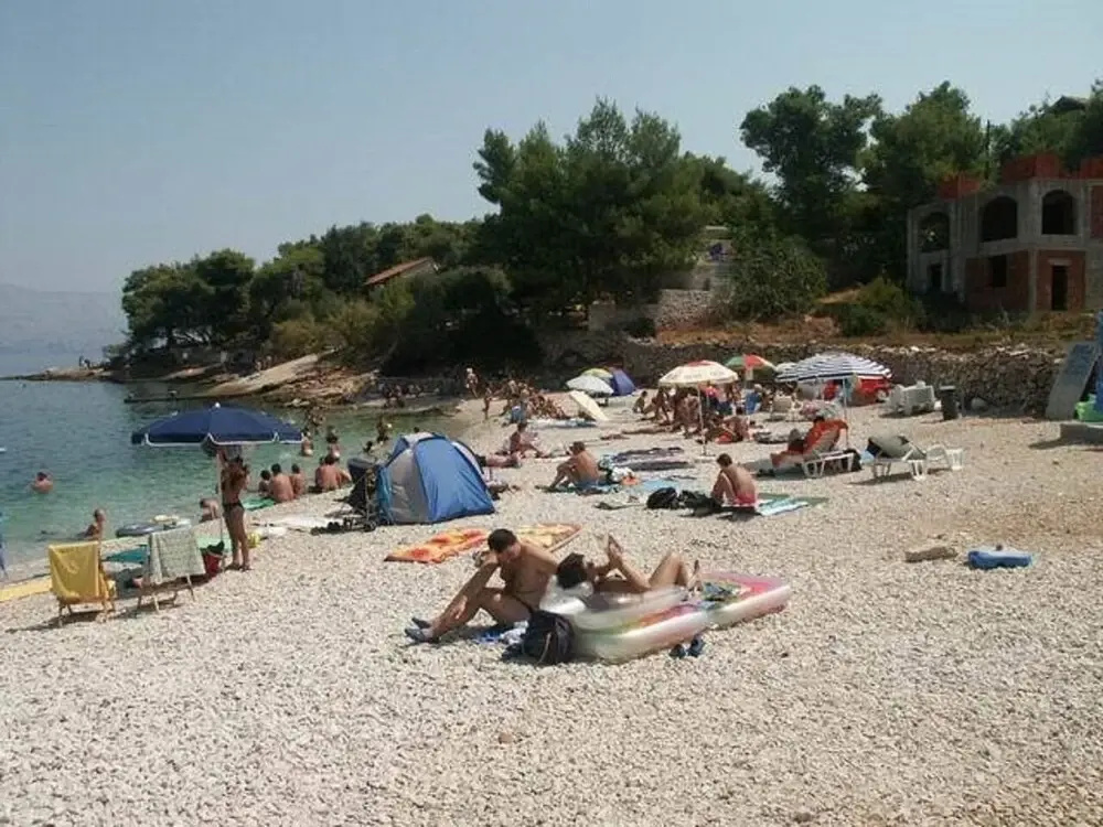 Jela - 50 m From Pebble Beach - A2-marija