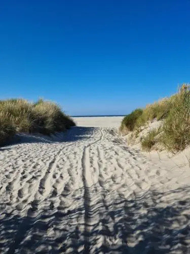 Ferienwohnung-Am-Suedstrand