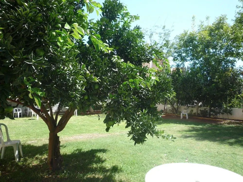 Pinus Apart & Hotel