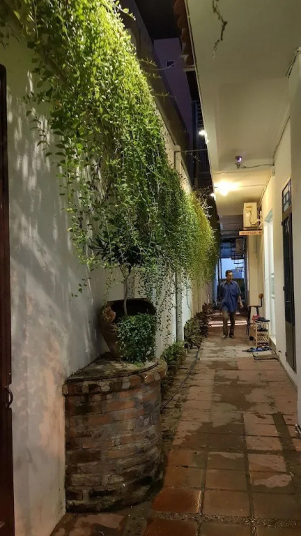White House Hostel