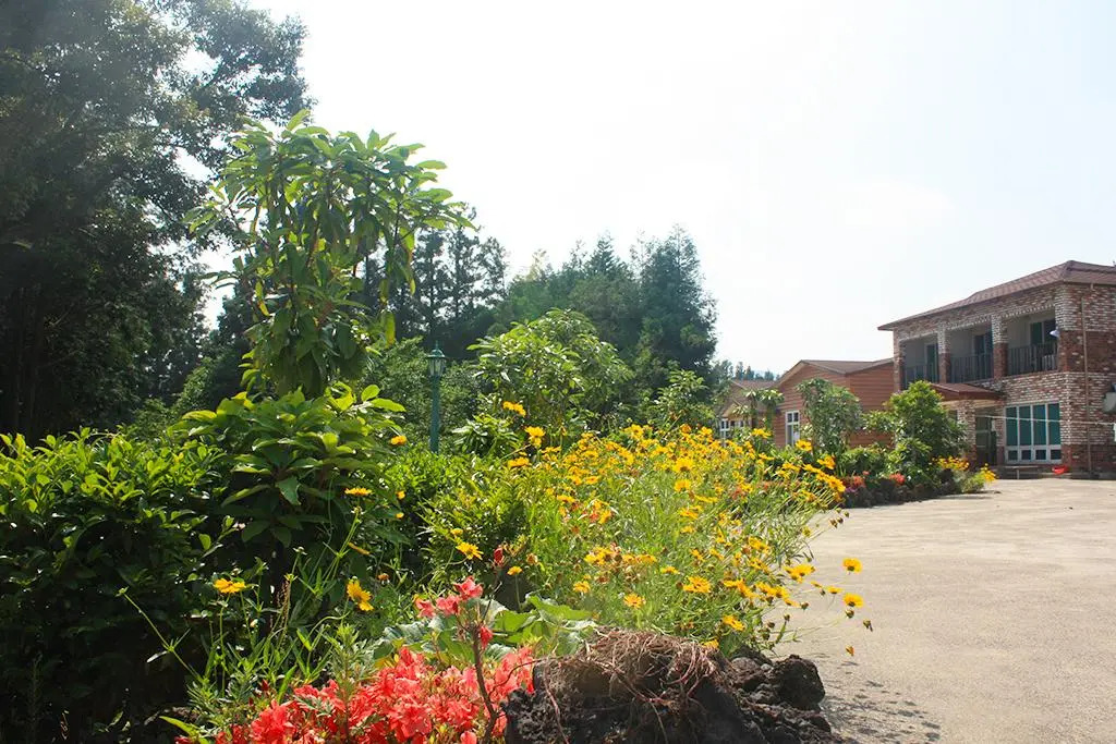Jeju TS Youth Hostel & Resort