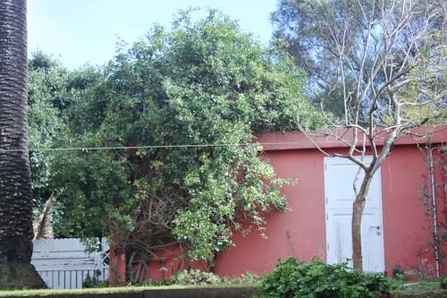 El Perenquen