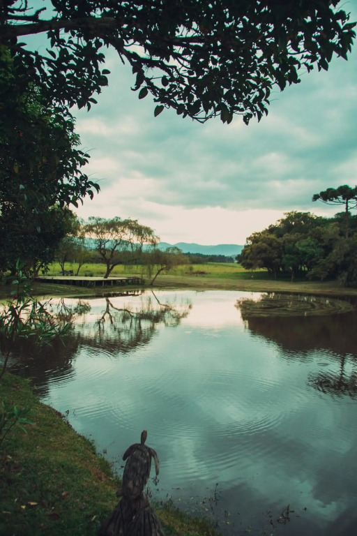 Vale das Macieiras