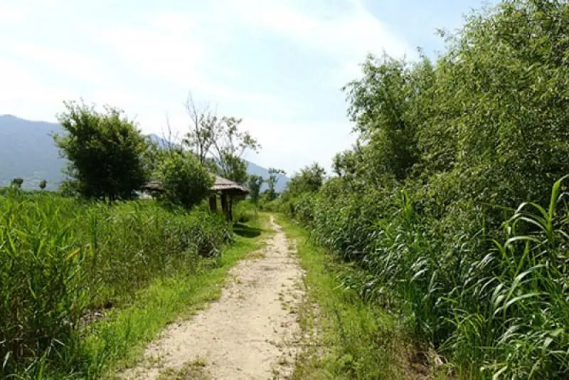 Suncheonman Travel Pension