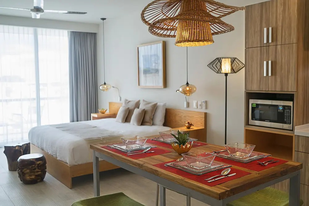 Opal Apt. 201 Amazing Brand new Apartment With Gorgeous Roof top