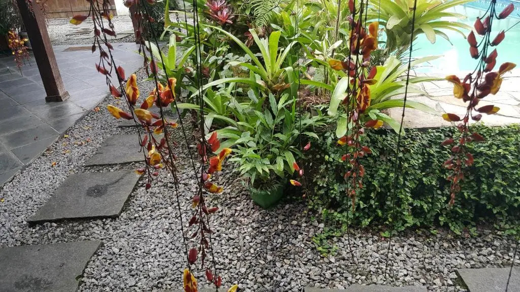 Suites Beija-Flor